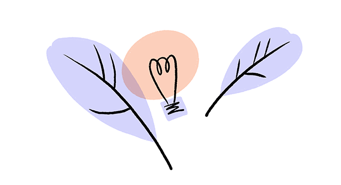 A drawing of a light bulb and feathers, symbolising the start of your visual thinking journey